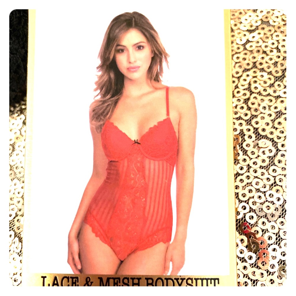 Lace & mesh bodysuit